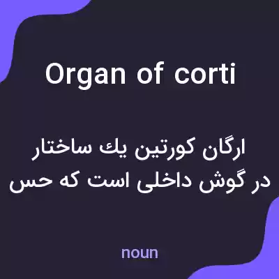 معنی organ of corti به فارسی معنی organ of corti به فارسی