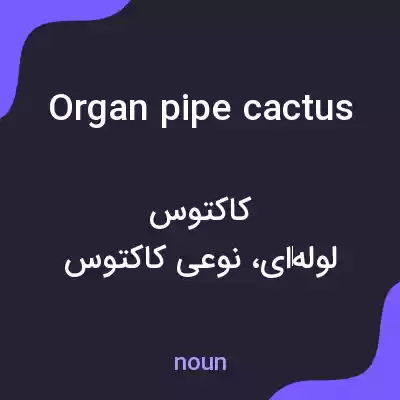 معنی organ pipe cactus به فارسی معنی organ pipe cactus به فارسی