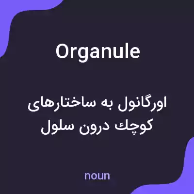 معنی organule به فارسی معنی organule به فارسی