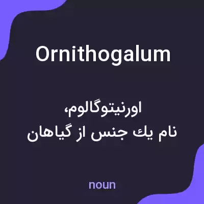معنی ornithogalum به فارسی معنی ornithogalum به فارسی