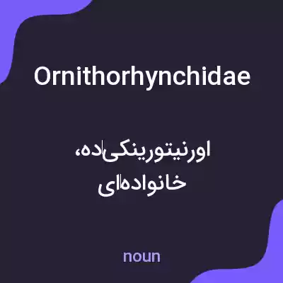 معنی ornithorhynchidae به فارسی معنی ornithorhynchidae به فارسی