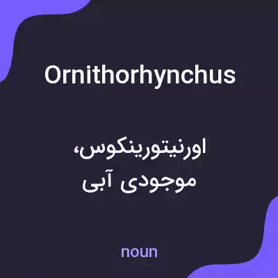 معنی ornithorhynchus به فارسی معنی ornithorhynchus به فارسی