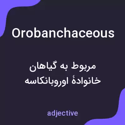 معنی orobanchaceous به فارسی معنی orobanchaceous به فارسی