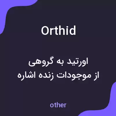 معنی orthid به فارسی معنی orthid به فارسی
