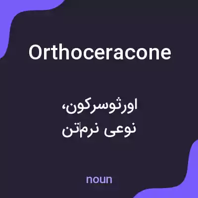 معنی orthoceracone به فارسی معنی orthoceracone به فارسی