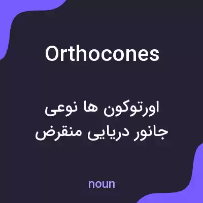 معنی orthocones به فارسی معنی orthocones به فارسی