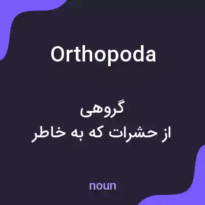 معنی orthopoda به فارسی معنی orthopoda به فارسی