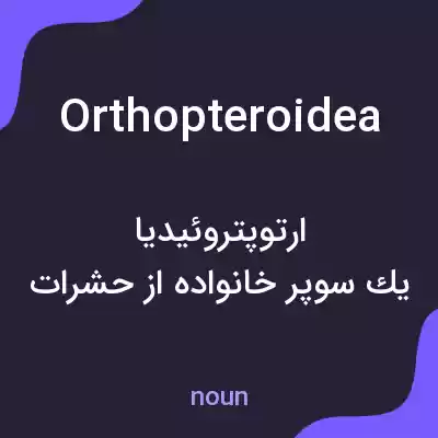 معنی orthopteroidea به فارسی معنی orthopteroidea به فارسی