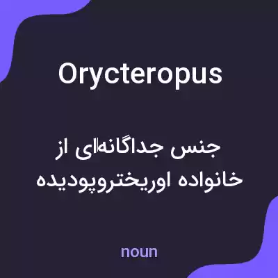 معنی orycteropus به فارسی معنی orycteropus به فارسی