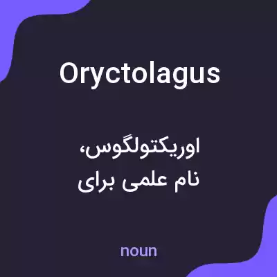 معنی oryctolagus به فارسی معنی oryctolagus به فارسی