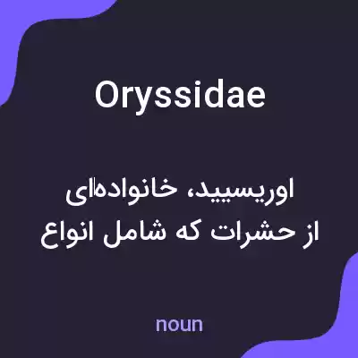معنی oryssidae به فارسی معنی oryssidae به فارسی