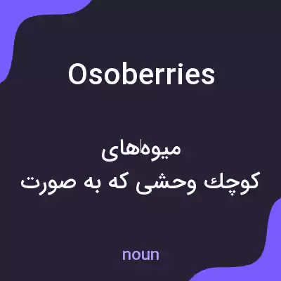 معنی osoberries به فارسی معنی osoberries به فارسی