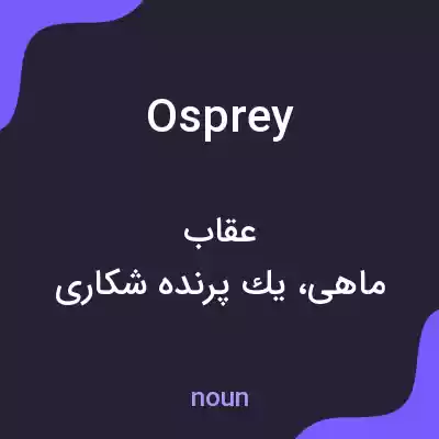 معنی osprey به فارسی معنی osprey به فارسی