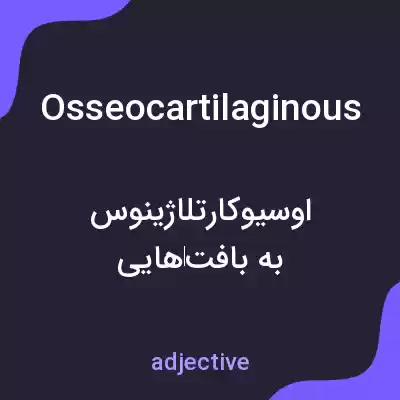معنی osseocartilaginous به فارسی معنی osseocartilaginous به فارسی