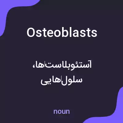 معنی osteoblasts به فارسی معنی osteoblasts به فارسی