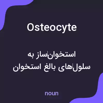 معنی osteocyte به فارسی معنی osteocyte به فارسی