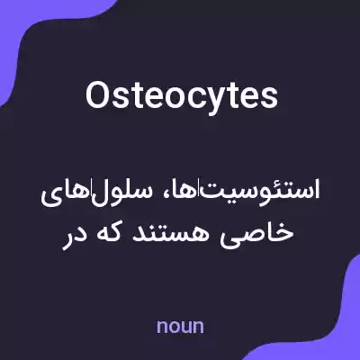 معنی osteocytes به فارسی معنی osteocytes به فارسی