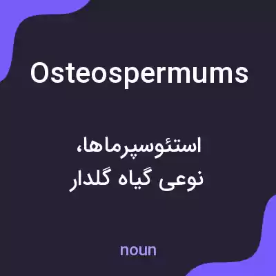 معنی osteospermums به فارسی معنی osteospermums به فارسی