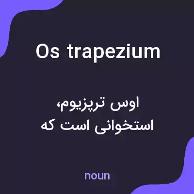 معنی os trapezium به فارسی معنی os trapezium به فارسی