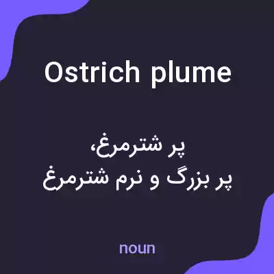 معنی ostrich plume به فارسی معنی ostrich plume به فارسی