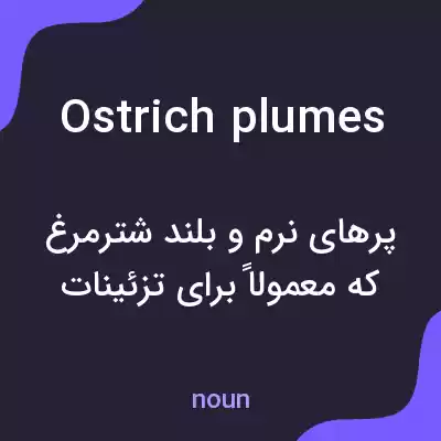 معنی ostrich plumes به فارسی معنی ostrich plumes به فارسی