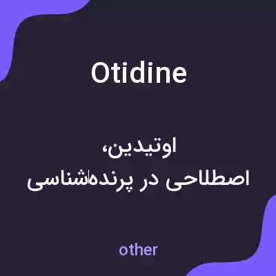 معنی otidine به فارسی معنی otidine به فارسی
