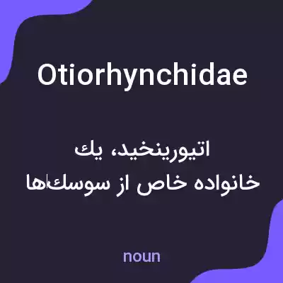 معنی otiorhynchidae به فارسی معنی otiorhynchidae به فارسی
