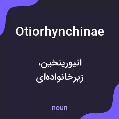 معنی otiorhynchinae به فارسی معنی otiorhynchinae به فارسی