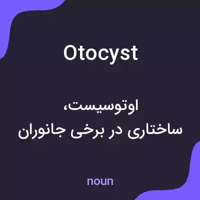 معنی otocyst به فارسی معنی otocyst به فارسی