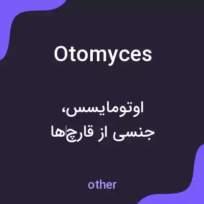 معنی otomyces به فارسی معنی otomyces به فارسی