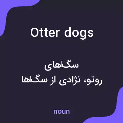 معنی otter dogs به فارسی