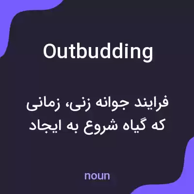 معنی outbudding به فارسی معنی outbudding به فارسی