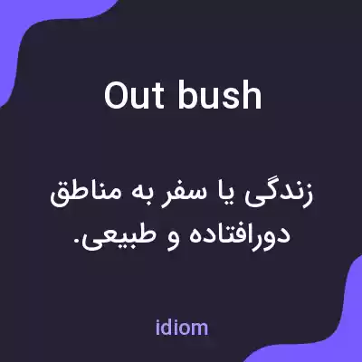 معنی out bush به فارسی معنی out bush به فارسی