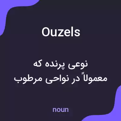 معنی ouzels به فارسی