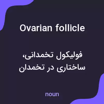 معنی ovarian follicle به فارسی معنی ovarian follicle به فارسی