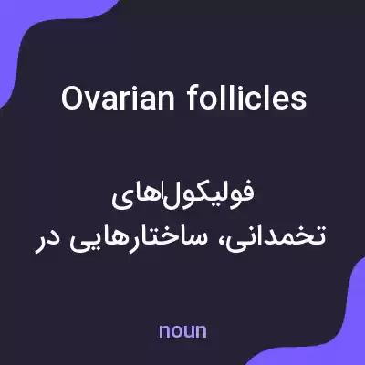 معنی ovarian follicles به فارسی معنی ovarian follicles به فارسی