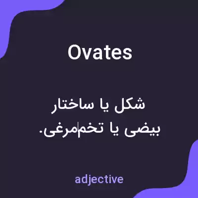 معنی ovates به فارسی معنی ovates به فارسی
