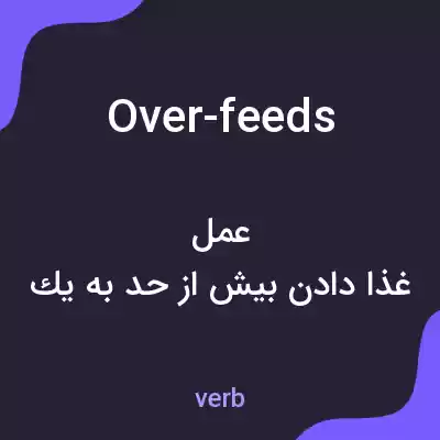 معنی over-feeds به فارسی معنی over-feeds به فارسی
