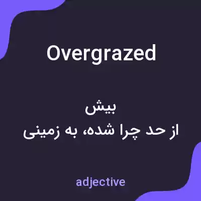 معنی overgrazed به فارسی معنی overgrazed به فارسی