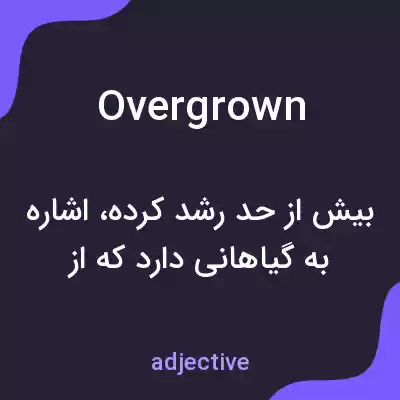 معنی overgrown به فارسی معنی overgrown به فارسی