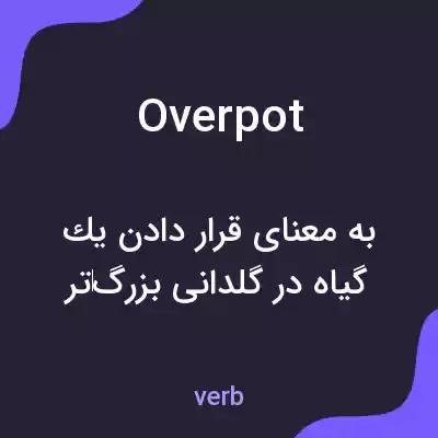 معنی overpot به فارسی معنی overpot به فارسی