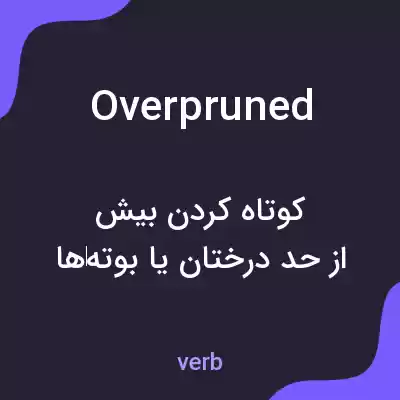معنی overpruned به فارسی معنی overpruned به فارسی