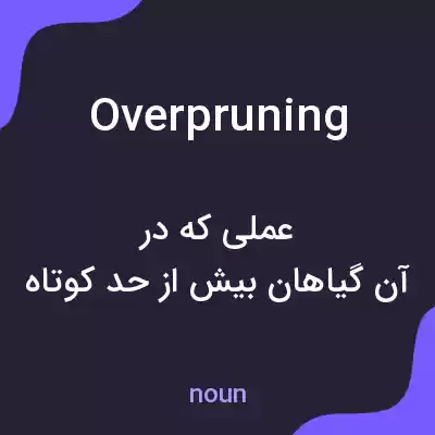 معنی overpruning به فارسی معنی overpruning به فارسی