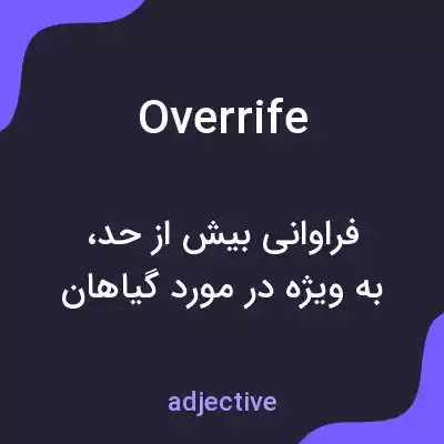 معنی overrife به فارسی معنی overrife به فارسی