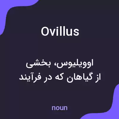 معنی ovillus به فارسی معنی ovillus به فارسی