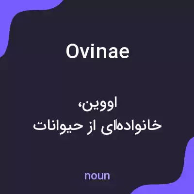 معنی ovinae به فارسی معنی ovinae به فارسی