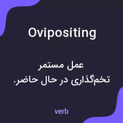 معنی ovipositing به فارسی