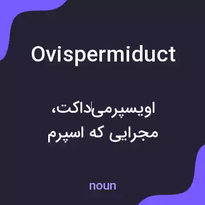 معنی ovispermiduct به فارسی معنی ovispermiduct به فارسی