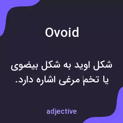 معنی ovoid به فارسی