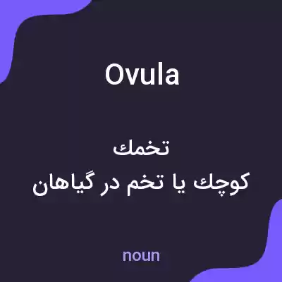 معنی ovula به فارسی معنی ovula به فارسی